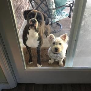 Meet your Posher, Jeff